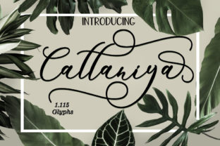 Cattaniya: A Script Font for Editorial Grace