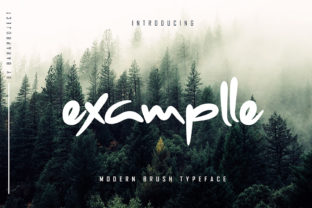 Examplle Font for Eye-Catching Digital Campaigns