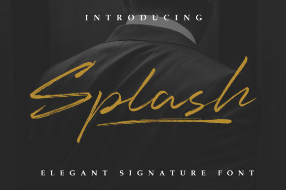 Font That Elevates Your Brand: The Splash Script