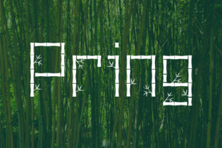 Pring: The Font That Elevates Your Brand